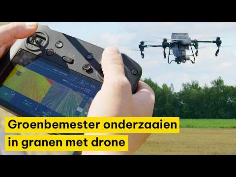 Groenbemester onderzaaien in granen met drone