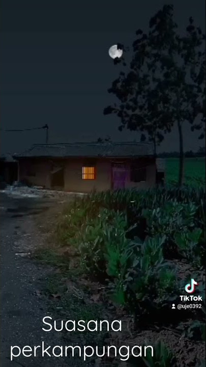 suasana kampung di malam hari #viral #lagutiktokviral