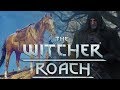 Why Geralt Calls All Of His Horses Roach - Witcher Lore - Witcher Mythology - Witcher 3 lore