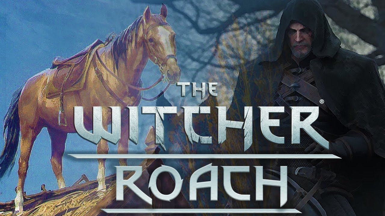 Why Geralt Calls All Of His Horses Roach Witcher Lore Witcher 