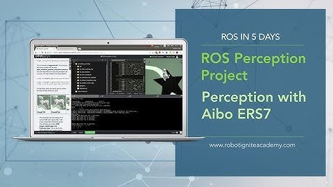 [ROS Tutorials] ROS Perception #Course Project : Perception with Aibo ERS7