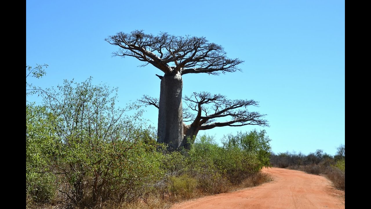 MyWay. Madagascar. 2014. 07. Manja - Andavadoaka