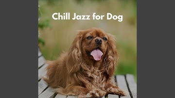 Classic Forgetting Mirrors