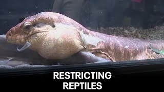 Florida's prohibited reptiles: Group files motion against rules Florida Restricts Sales Of Reptiles Amid Fears Of Invasive Species