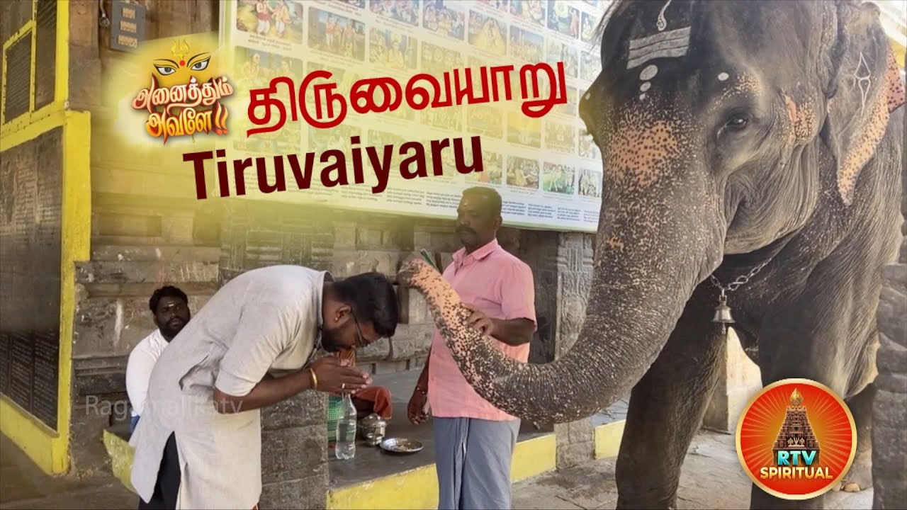 திருவையாறு | சிவ ஸ்தலம் | வரலாறு | அய்யாரப்பர் | அறம் வளர்த்த நாயகி