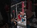 Last second finish! #559fights #ufc #mma