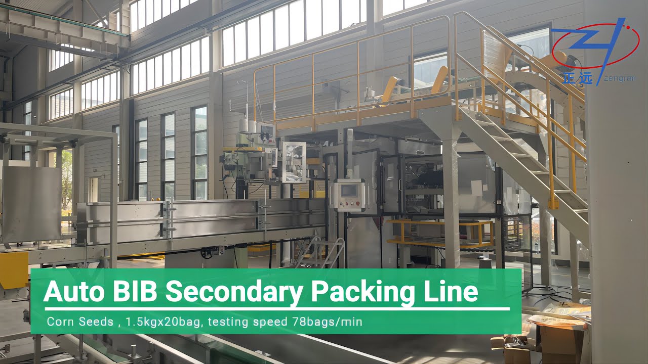 FAT- Huaxi Corn Seeds Auto BIB Secondary Packing line - YouTube