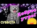 🌞 ДОБРОГО УТРА / ДОБРОЕ УТРО / С ДОБРЫМ УТРОМ / ДОБРОГО УТРА ЛЮБИМОЙ / ДОБРОЕ УТРО КАРТИНКИ / ЖЕЛАЮ