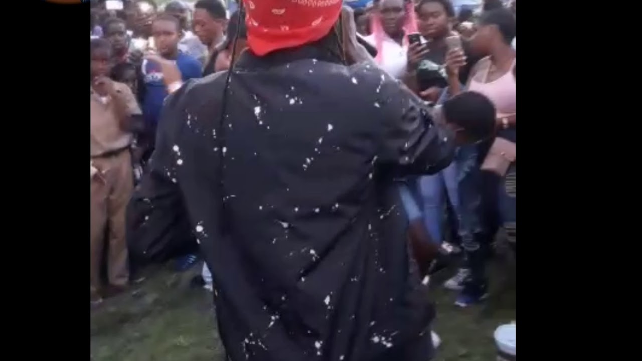 Munga shell down St Mary jamaica