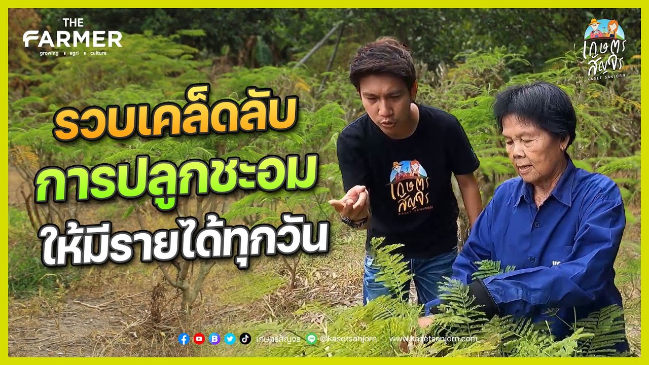 รวมทุกเทคนิคการ 