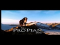 PROPLAN I Like To Run Mov PROPLAN I Like To Run Mov