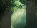 Calm Your Heart – Prayer of Light | Relaxing Piano