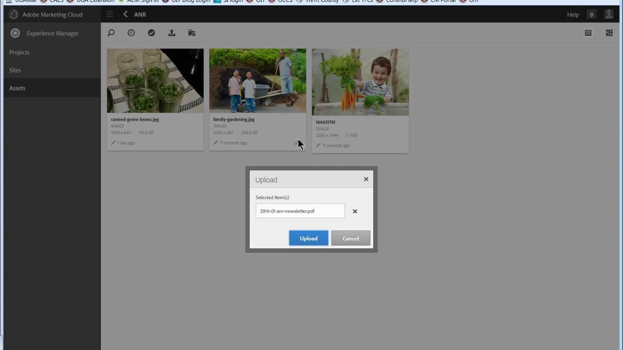 Managing Assets:  Uploading Files in AEM.