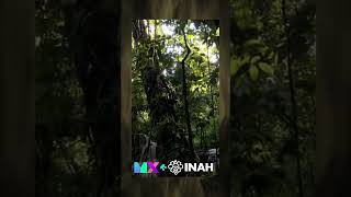 MX ft INAH DIVERSIDAD | LACANDONIA