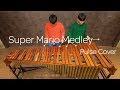 슈퍼 마리오 메들리 (Super Mario Medley) - Pulse Marimba Cover