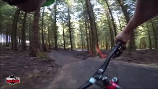BikePark Wales | Trail video - Popty Ping