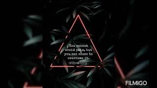 vish motivation every day