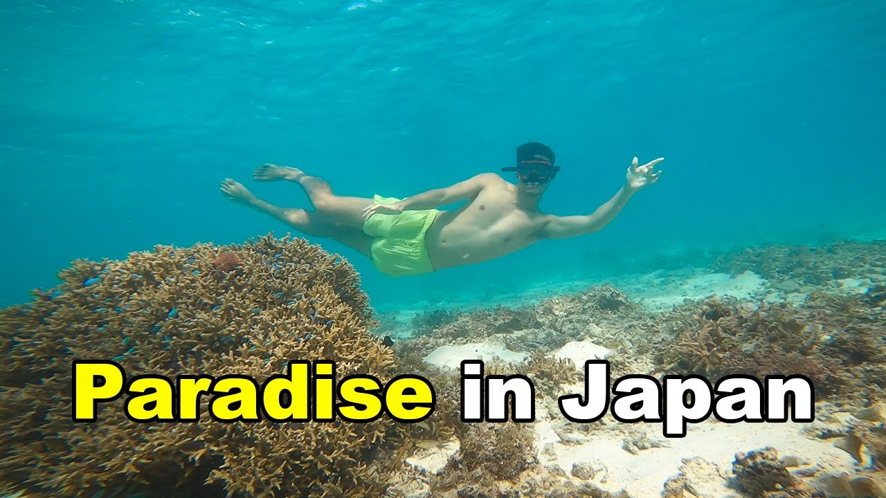 Okinawa Travel Guide | One Day Plan | Unique Food and Nature