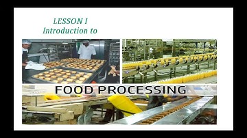 Video Lesson about Food Processing
