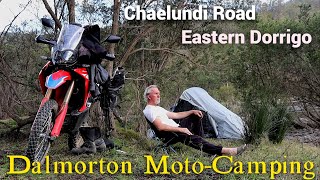 Solo moto camping  Dalmorton  CRF 300 Rally