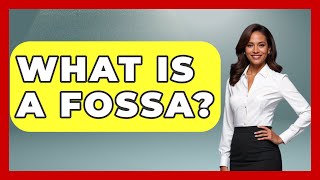 What Is A Fossa? - The Wild Life Explorer