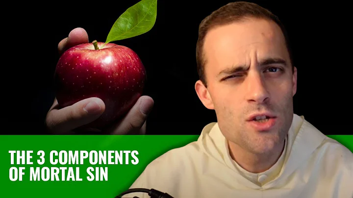 When is a Sin a MORTAL SIN? w/ Fr. Gregory Pine, OP