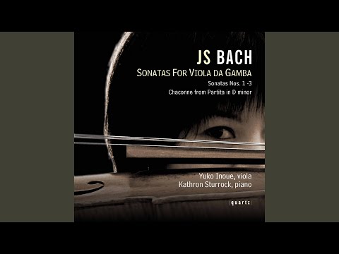 Violin Partita No. 2 in D Minor, BWV 1004: V. Chaconne (Arr. for Viola da gamba)