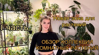 видео: ОБЗОР КОЛЛЕКЦИИ КОМНАТНЫХ РАСТЕНИЙ 1 ЧАСТЬ /НОВАЯ ЦВЕТОЧНАЯ ЗОНА  картинка: ОБЗОР КОЛЛЕКЦИИ КОМНАТНЫХ РАСТЕНИЙ 1 ЧАСТЬ /НОВАЯ ЦВЕТОЧНАЯ ЗОНА