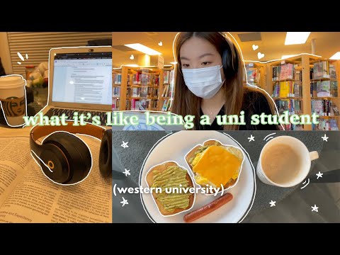 my life as a uni student (online edition)