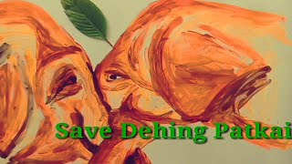Save Dehing Patkai Stop Coal Mining Hand Painting Assam