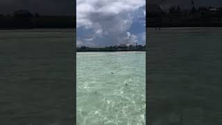 Kelis | On The Beach