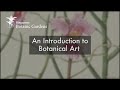 A Introduction To Botanical Art