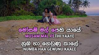 Bo Mal - බෝ මල්  |  Karaoke
