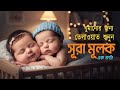Surah Al-Mulk for Deep Sleep 🌙 | Peaceful Quran Therapy | सोने से पहले