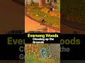 Cleaning up the Grounds #worldofwarcraft #quest