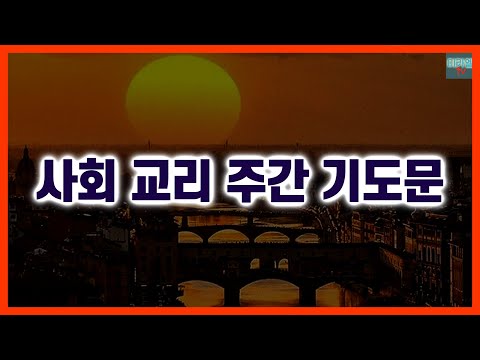 영상썸네일