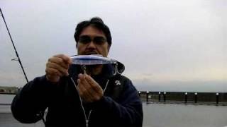 ツナマニア御用達のペンシル:Shibuki 187dbが登場(Tackle House)