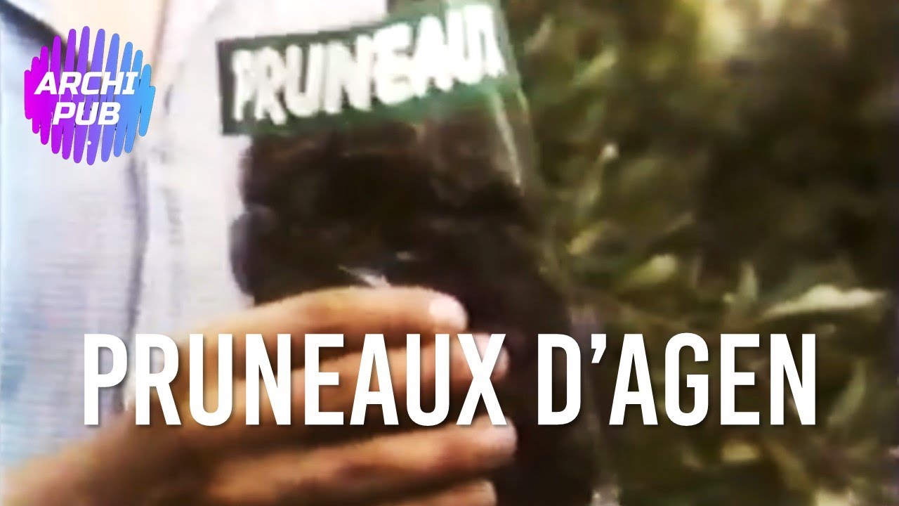 quot;Pruneau d'Agen, ça vous va bien" : cette pub mythique des années 2000 fait son retour à la