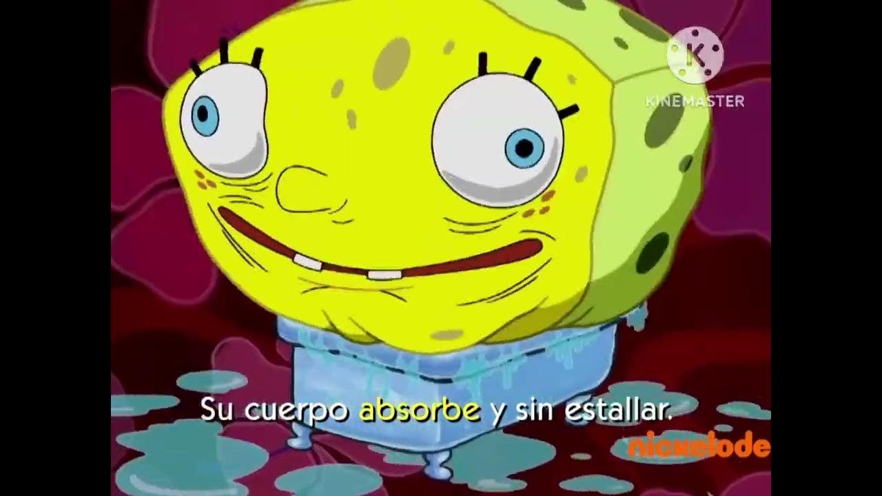 Where Can I Watch Spongebob In Spanish Spongebob squarepants Intro Latin Spanish (Locizated) (Vea A Tus