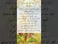 من دعاء النبي لقضاء الدين ودفع الفقر من دعاء النبي لقضاء الدين ودفع الفقر