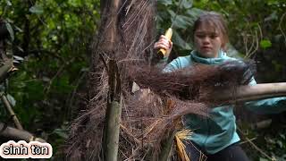 Bad guys suddenly attack in the forest, harvest mushrooms and tubers for food, and build farms