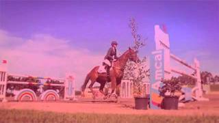 How To Fallclaredoyle2010