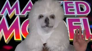 Babestation Masked Model Toffee Paws