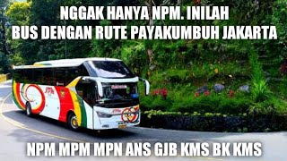 SELAIN NPM INILAH BUS DENGAN RUTE PAYAKUMBUH JAKARTA
