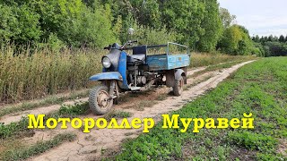 Мотороллер Муравей