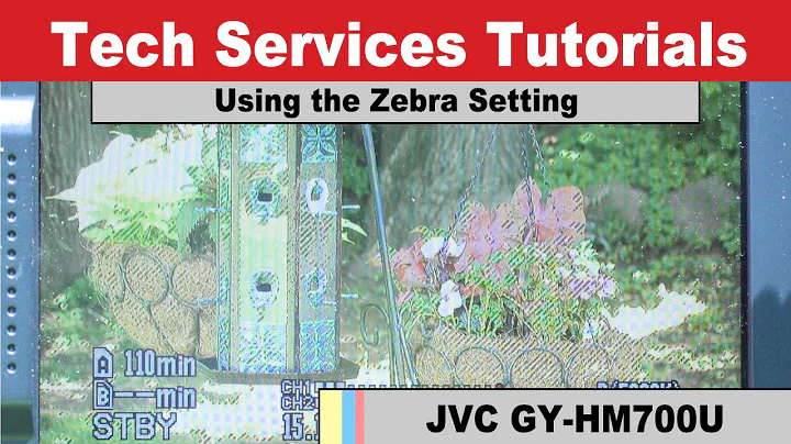 JVC GY-HM700U - Using the Zebra Setting to Prevent Overexposure