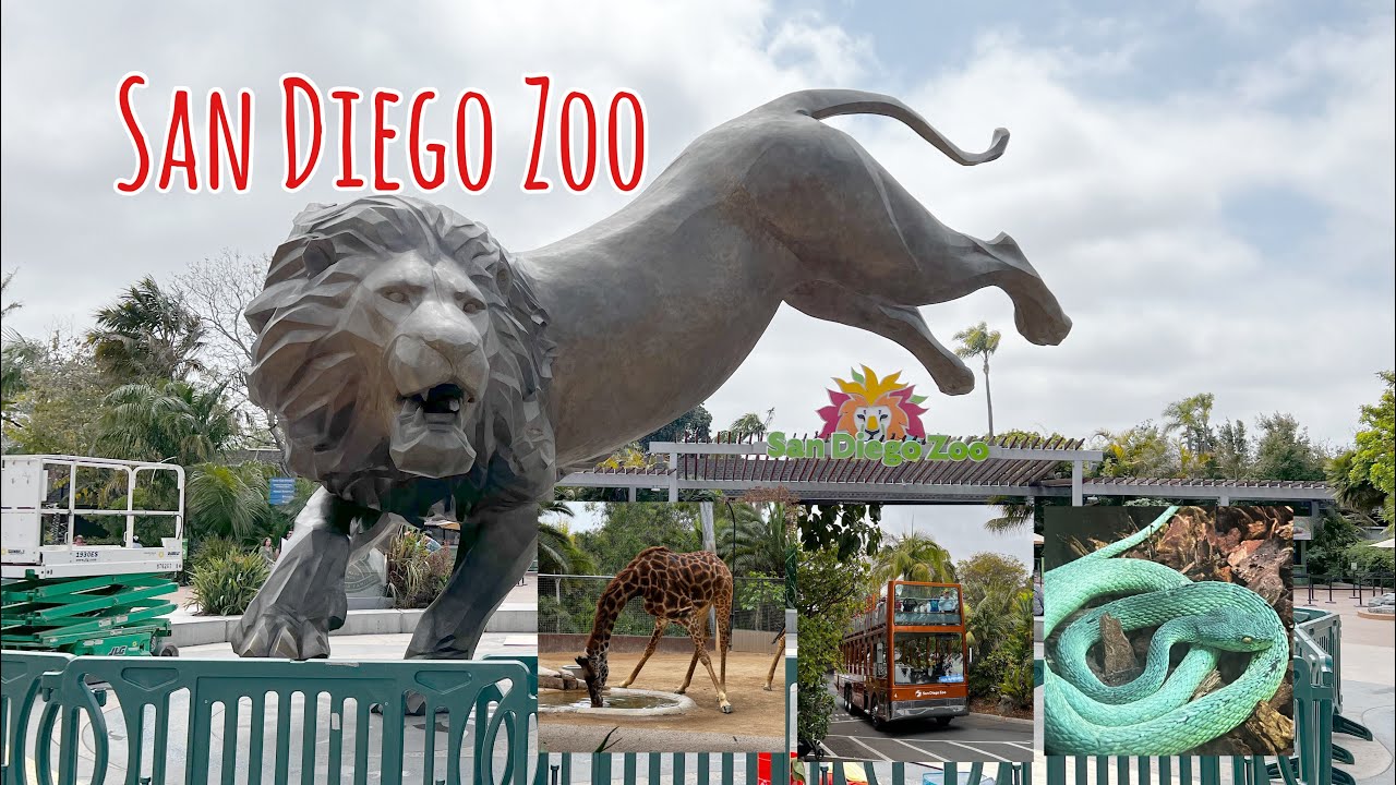 Things To See and Do San Diego Zoo California Balboa Park One of USA