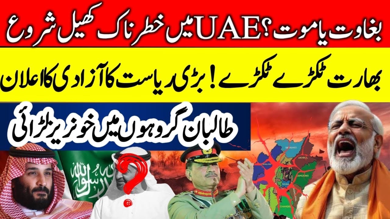 Gulf Royal Clash: UAE & Saudi Arabia Leadership Crisis | Who will be next UAE President after MBZ ?