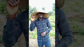 If Your Crops Are Struggling, Look Deeper Than The Seed