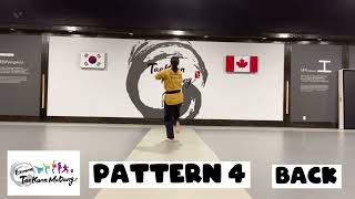 Pattern 4 (Back)